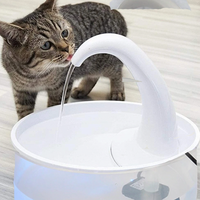 Why cats prefer water fountains to a regular water bowl