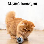 Smart Cat Jumping Ball Toy - The Savvy Pets