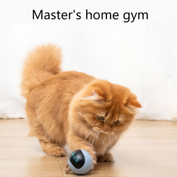 Smart Cat Jumping Ball Toy - The Savvy Pets