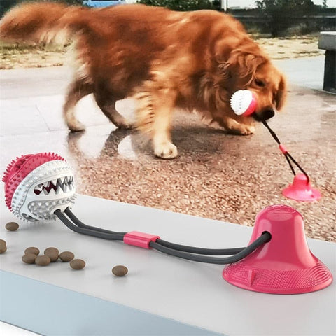 Dog Interactive Elastic Ball Toy - The Savvy Pets