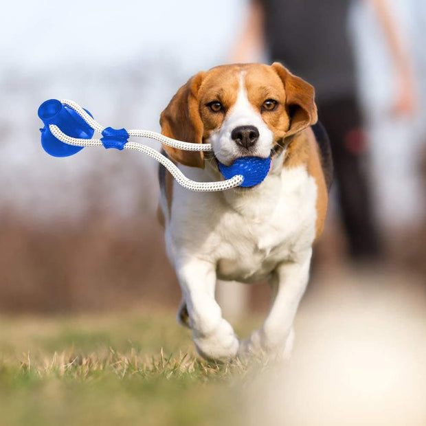 Interactive Suction Cup Dog Chew Toy - The Savvy Pets