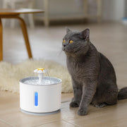 Automatic Pet Cat Water Drinker Feeder - The Savvy Pets