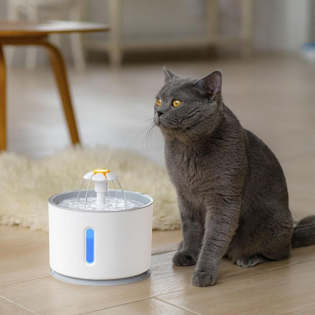 Automatic Pet Cat Water Drinker Feeder - The Savvy Pets