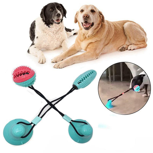 Dog Interactive Elastic Ball Toy - The Savvy Pets