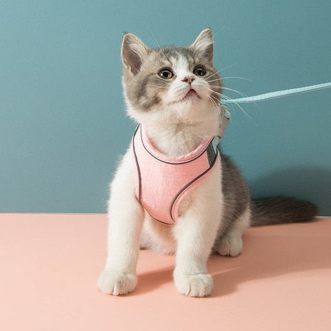 Cat Harness Leash Set - The Savvy Pets