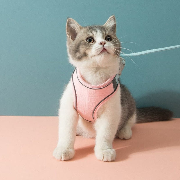 Cat Harness Leash Set - The Savvy Pets