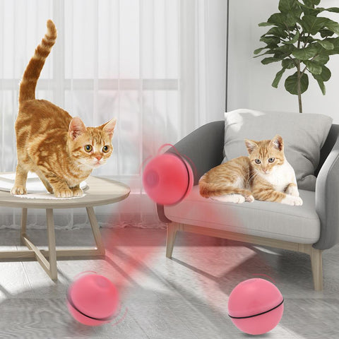 Smart Jumping Magic Roller Ball For Cat - The Savvy Pets