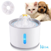 Automatic Pet Cat Water Drinker Feeder - The Savvy Pets