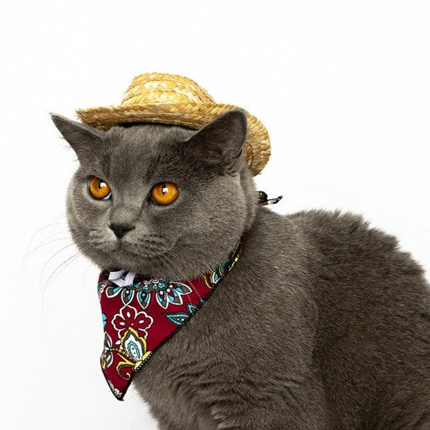 Pet Woven Straw Hat for Cat - The Savvy Pets