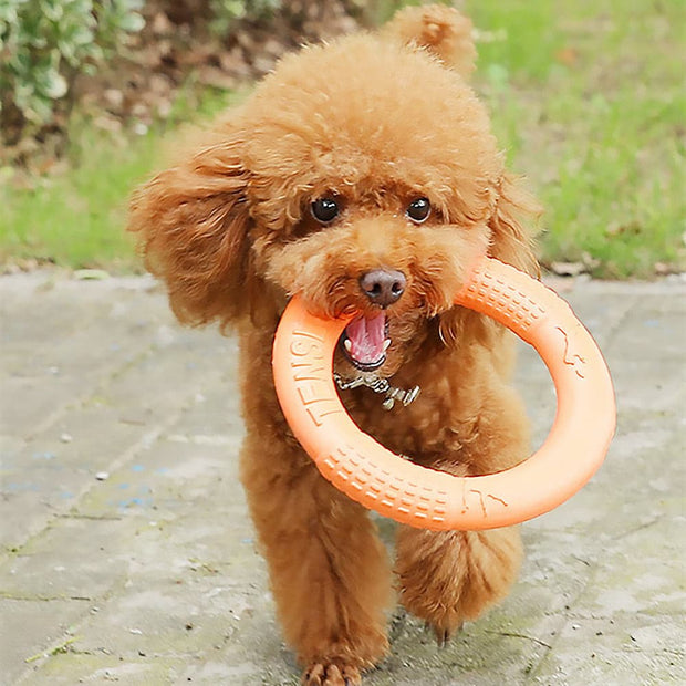 Dog Training Ring Puller Toy - The Savvy Pets