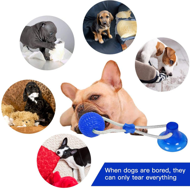 Interactive Suction Cup Dog Chew Toy - The Savvy Pets