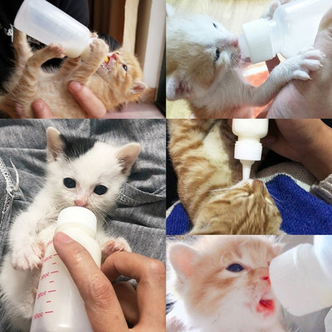 Puppy Kitten Feeding Bottle Set