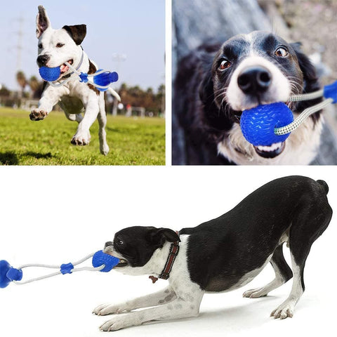 Interactive Suction Cup Dog Chew Toy - The Savvy Pets