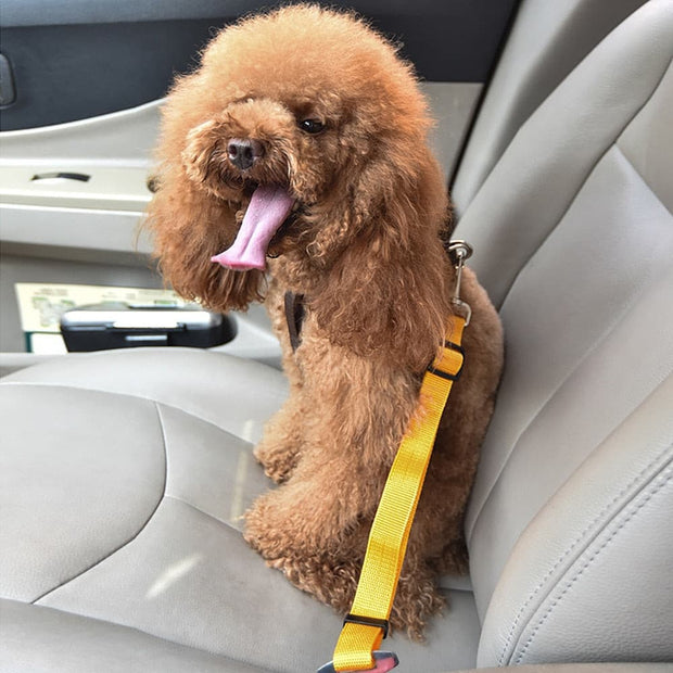 Adjustable Pet Car Safety Belt - The Savvy Pets