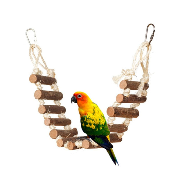 Parrot Colorful Acrylic Bridge Cage