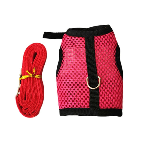 Rabbit Harness Vest - The Savvy Pets