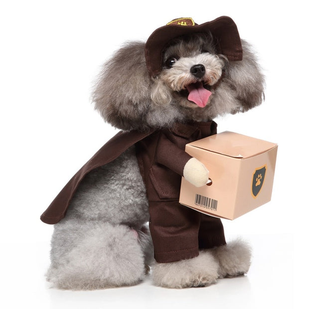 Pet Dog Halloween Clothes - The Savvy Pets