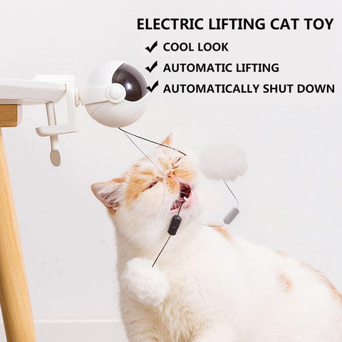 New Electric Ball Cat Toy - The Savvy Pets