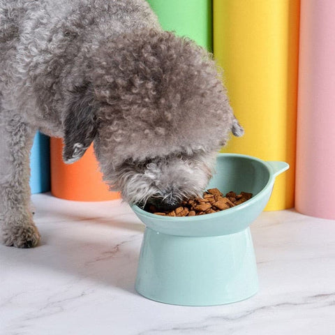 2Pcs/set Cat Water & Feeder Bowl - The Savvy Pets