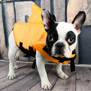 Summer Dog Life Vest Shark Jacket