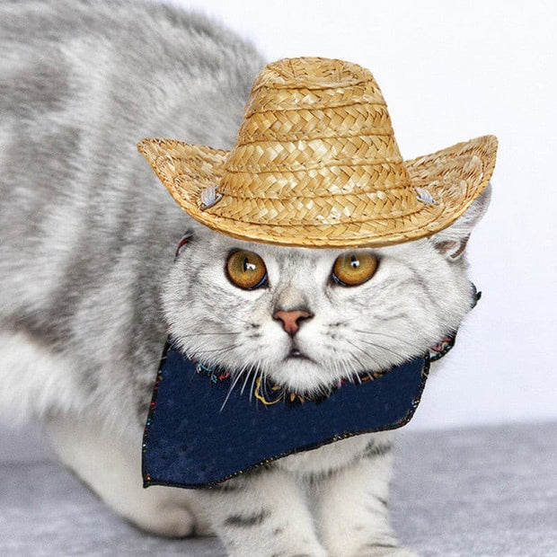 Pet Woven Straw Hat for Cat - The Savvy Pets