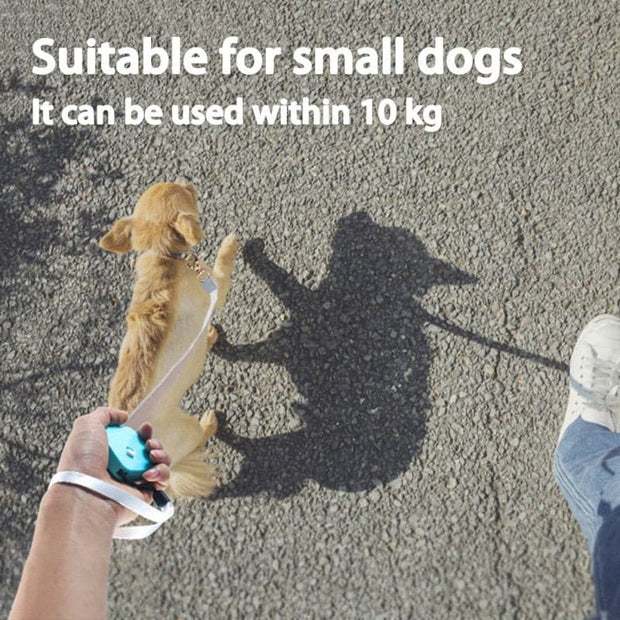 Pocket-sized Retractable Walking Belt - The Savvy Pets