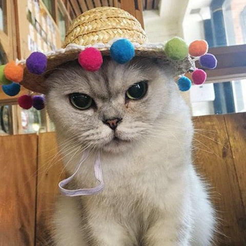 Pet Woven Straw Hat for Cat - The Savvy Pets