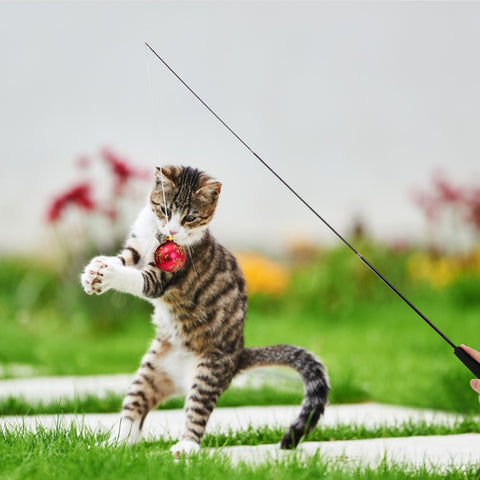 Cat Fishing Stick Rod Toys - The Savvy Pets