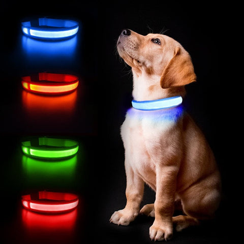 Dog Waterpoof Safety Glow Necklace - The Savvy Pets