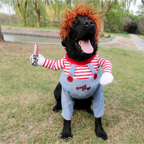 Pet Dog Halloween Clothes - The Savvy Pets