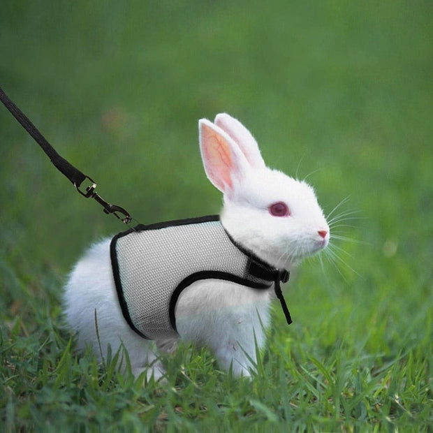 Rabbit Harness Vest - The Savvy Pets