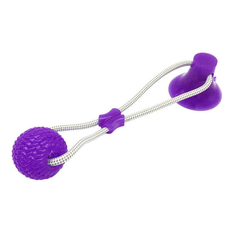 Dog Interactive Elastic Ball Toy - The Savvy Pets