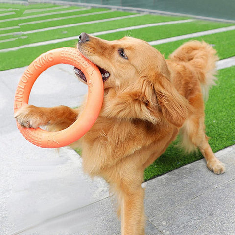 Dog Training Ring Puller Toy - The Savvy Pets