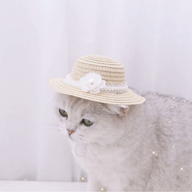 Pet Woven Straw Hat for Cat - The Savvy Pets