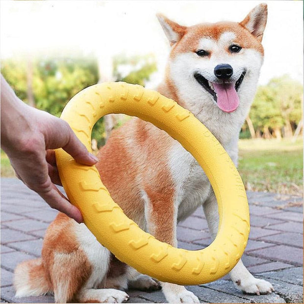 Dog Training Ring Puller Toy - The Savvy Pets