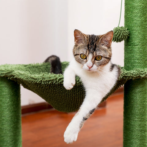 Cat Scratcher Tree - The Savvy Pets