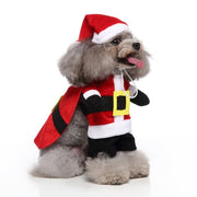 Pet Dog Halloween Clothes - The Savvy Pets