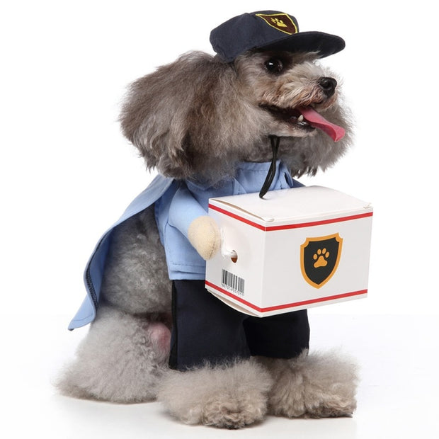 Pet Dog Halloween Clothes - The Savvy Pets