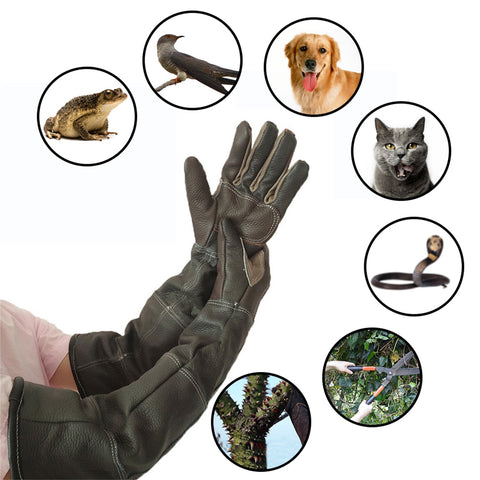 Pet Bite-resistant Leather Gloves - The Savvy Pets