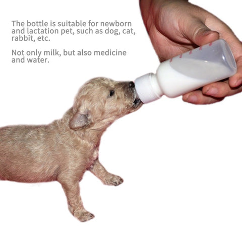 Pet Dog Cat  Feeding Bottle Feeder Set