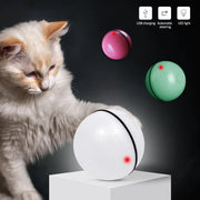 Smart Jumping Magic Roller Ball For Cat - The Savvy Pets