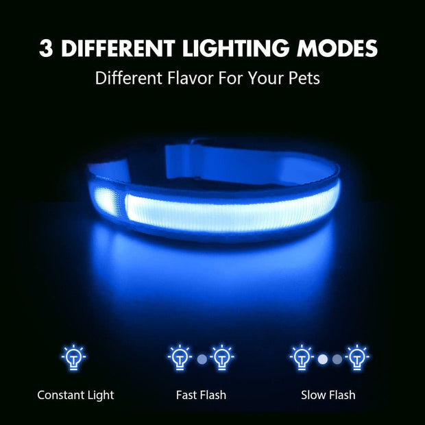 Dog Waterpoof Safety Glow Necklace - The Savvy Pets