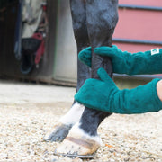 Dog Horse Foot Cleaning Glove