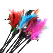 5pcs/lot Feather Wand Cat Toys - The Savvy Pets