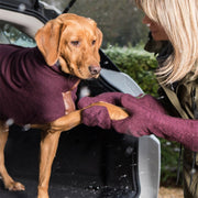 Dog Horse Foot Cleaning Glove