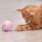 LED Magic Roller Ball - The Savvy Pets