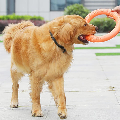 Dog Training Ring Puller Toy - The Savvy Pets