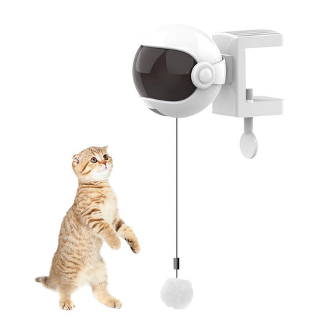 New Electric Ball Cat Toy - The Savvy Pets