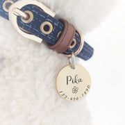 Personalized Engraved Pet ID Tag Collar - The Savvy Pets