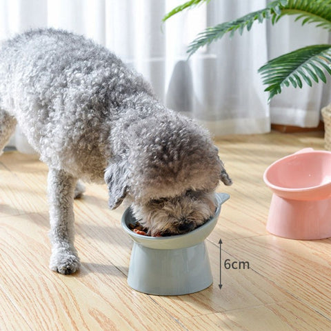 Pet Dog Feeding Cup - The Savvy Pets